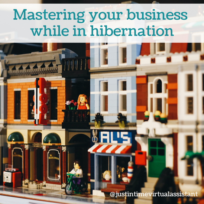Mastering your business while in hibernation